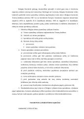 Teismo sprendimų vykdymas Belgijos Karalystėje 16 puslapis