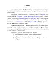 Teismo sprendimų vykdymas Belgijos Karalystėje 3 puslapis