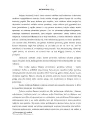 Teismo sprendimų vykdymas Belgijos Karalystėje 4 puslapis