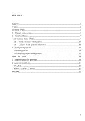 Tikslinės išlaidos 2 puslapis