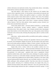 Tikslinės išlaidos 11 puslapis