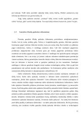 Tikslinės išlaidos 12 puslapis