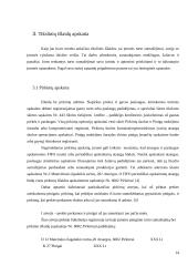 Tikslinės išlaidos 14 puslapis