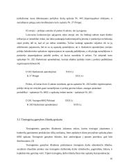 Tikslinės išlaidos 16 puslapis