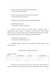 Tikslinės išlaidos 17 puslapis