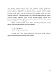 Tikslinės išlaidos 18 puslapis