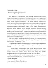 Tikslinės išlaidos 19 puslapis