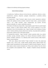 Tikslinės išlaidos 20 puslapis