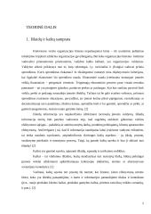 Tikslinės išlaidos 5 puslapis