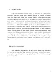 Tikslinės išlaidos 7 puslapis