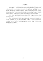 Tipinės apskaitos klaidos ir jų taisymo būdai