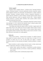 Tipinės apskaitos klaidos ir jų taisymo būdai 2 puslapis