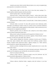 Tipinės apskaitos klaidos ir jų taisymo būdai 12 puslapis