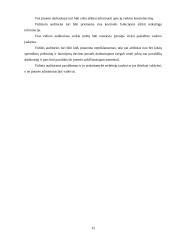 Tipinės apskaitos klaidos ir jų taisymo būdai 13 puslapis