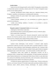 Tipinės apskaitos klaidos ir jų taisymo būdai 3 puslapis