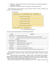 Token Ring 6 puslapis