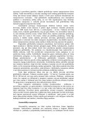 Transportas — sudėtinė verslo dalis 11 puslapis