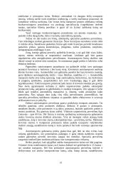 Transportas — sudėtinė verslo dalis 13 puslapis