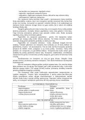 Transportas — sudėtinė verslo dalis 15 puslapis