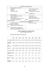 Transportas — sudėtinė verslo dalis 16 puslapis