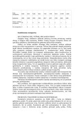 Transportas — sudėtinė verslo dalis 17 puslapis