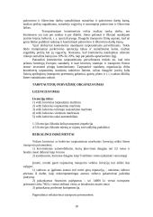 Transportas — sudėtinė verslo dalis 18 puslapis