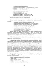 Transportas — sudėtinė verslo dalis 19 puslapis