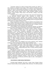 Transportas — sudėtinė verslo dalis 4 puslapis