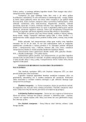 Transportas — sudėtinė verslo dalis 5 puslapis