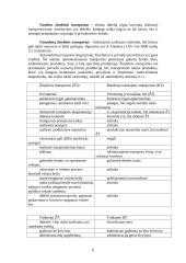 Transportas — sudėtinė verslo dalis 6 puslapis