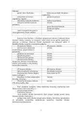 Transportas — sudėtinė verslo dalis 7 puslapis