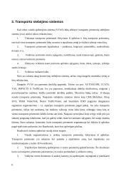 Transporto priemonės greičio nustatymas pagal filmuotą vaizdą 7 puslapis