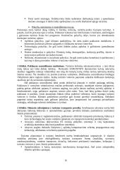 Turizmas — tarptautinių ekonominių santykių vystymosi veiksnys 16 puslapis