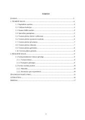 Turizmo plėtros galimybių studija Lietuvoje 2 puslapis