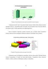 Turizmo plėtros galimybių studija Lietuvoje 12 puslapis