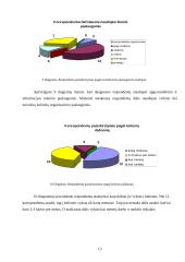 Turizmo plėtros galimybių studija Lietuvoje 13 puslapis