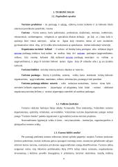 Turizmo plėtros galimybių studija Lietuvoje 4 puslapis