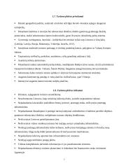 Turizmo plėtros galimybių studija Lietuvoje 7 puslapis