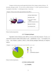 Turizmo plėtros galimybių studija Lietuvoje 9 puslapis