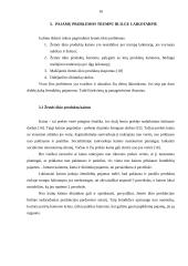 Ūkių pajamų ilgalaikio ir trumpalaikio kitimo tendencijos ir veiksniai 15 puslapis