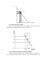 Ūkių pajamų ilgalaikio ir trumpalaikio kitimo tendencijos ir veiksniai 16 puslapis
