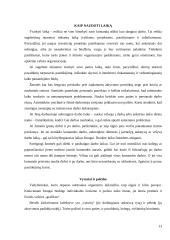 Vadybininko profesija: XXI amžiaus iššūkiai ir grėsmės 13 puslapis