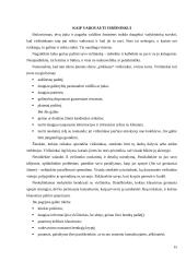 Vadybininko profesija: XXI amžiaus iššūkiai ir grėsmės 15 puslapis