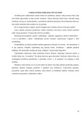 Vadybininko profesija: XXI amžiaus iššūkiai ir grėsmės 19 puslapis