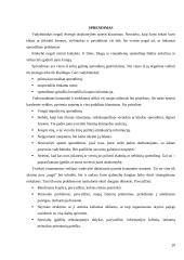 Vadybininko profesija: XXI amžiaus iššūkiai ir grėsmės 20 puslapis