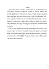 Vadybininko profesija: XXI amžiaus iššūkiai ir grėsmės 3 puslapis