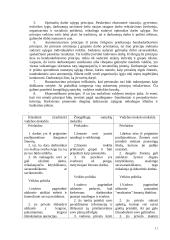 Vadybos medis - vadybos teorijų išraiška 11 puslapis