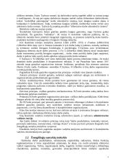 Vadybos medis - vadybos teorijų išraiška 5 puslapis