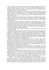 Vadybos medis - vadybos teorijų išraiška 7 puslapis