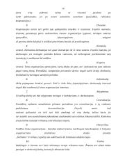 Vadybos teorijų raida glaustai 14 puslapis